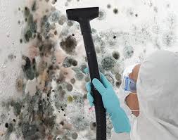 Best Environmental Consulting for Mold Prevention  in Glenwood, IL